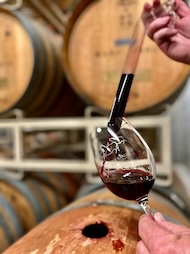 Product Image for Holiday Wine Tasting & Food Bites